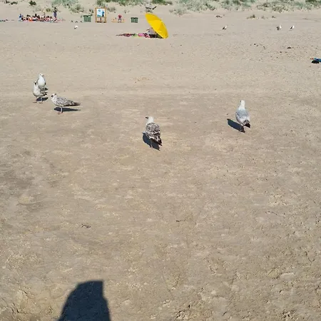 Elija, Sventoji, Nuostabus Aprtamentai, Adresu 62 Mokyklos Gatve 2, 00303, Sventoji Palanga