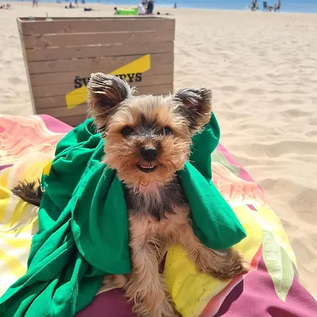 Elija, Sventoji, Nuostabus Aprtamentai, Adresu 62 Mokyklos Gatve 2, 00303, Sventoji Apartamento