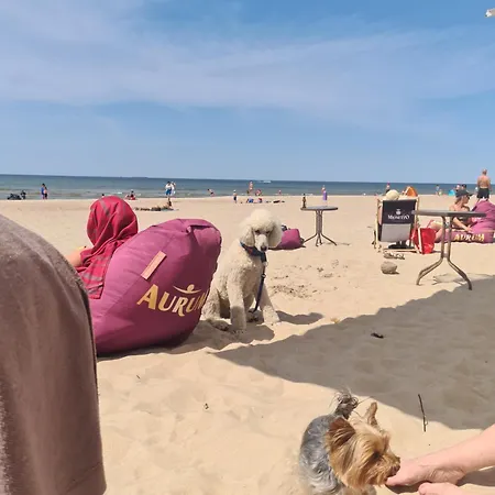 Elija, Sventoji, Nuostabus Aprtamentai, Adresu 62 Mokyklos Gatve 2, 00303, Sventoji Apartamento *