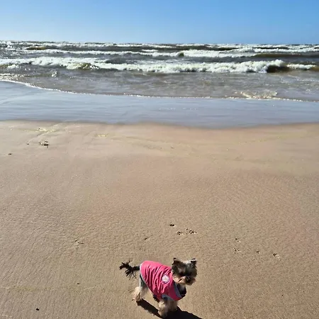 Apartamento Elija, Sventoji, Nuostabus Aprtamentai, Adresu 62 Mokyklos Gatve 2, 00303, Sventoji *