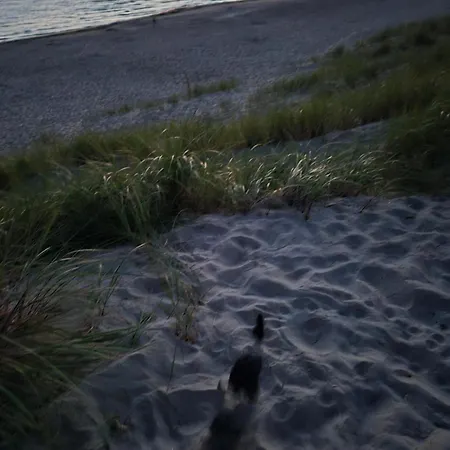 Elija, Sventoji, Nuostabus Aprtamentai, Adresu 62 Mokyklos Gatve 2, 00303, Sventoji Palanga