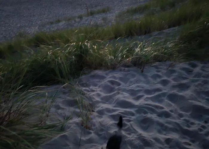 Elija, Sventoji, Nuostabus Aprtamentai, Adresu 62 Mokyklos Gatve 2, 00303, Sventoji Palanga